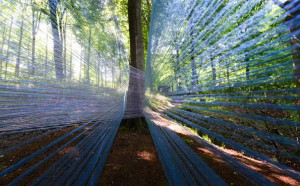 01-INTEGRATIONINTERRUPTION PART II Elin & Keino filo, 2016 Piazza Marinoni Tirano