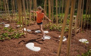 LA MAISON DE JACQUES by Romy Brosseau, Rosemarie Faille-Faubert, Émilie Gagné-Loranger, Québec, Canada