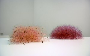 CHRISTIANE LÖHR premio pino pascali museo polignano a mare bari