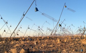 Christian Boltanski, Animitas, Jupiter Artland, Edimburgo