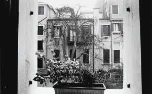 Noboyushi Araki, Araki in Venice, 2002, stampa sali d’argento, cm 61x51