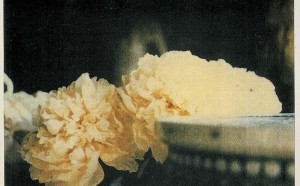 cy-twombly-photograph