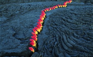 Nils Udo_Without_title__1998