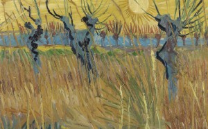 Vincent van Gogh, Salici potati al tramonto, 1888, olio su tela applicata su cartone, cm 31,6 x 34,3. Otterlo, Kröller-Müller Museum