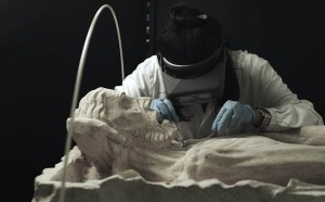 MASBEDO_HandleWithCare_2016 Still da videoinstallazione multicanale_courtesy MASBEDO Snaporazverein INBAF Per gentile concessione di Museo Civico Villa Carlotti - Caprino Veronese (per l’opera: Compianto su Cristo Morto, 1290 ca.). Si ringrazia l’Opificio delle Pietre Dure, Firenze.