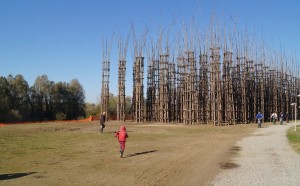 12 novembre, Lodi - area Ex Sicc: nasce la Cattedrale Vegetale di Giuliano Mauri