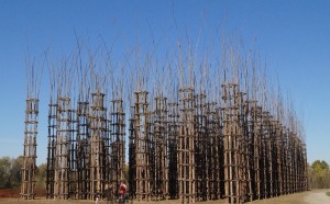 Giuliano Mauri, Cattedrale Vegetale, Lodi