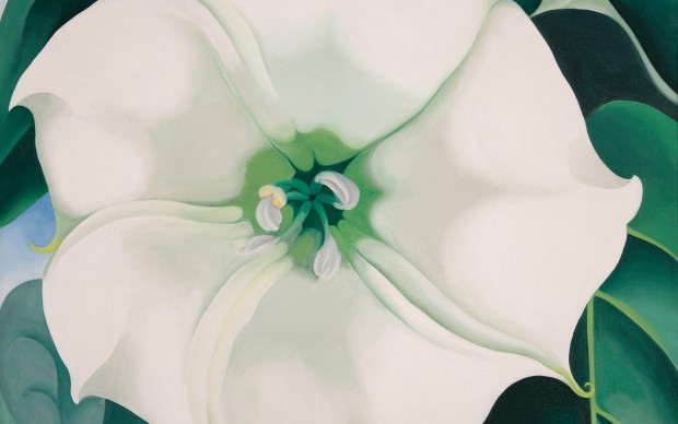 Georgia O'Keeffe Jimson Weed, White Flower No. 1 1932 Crystal Bridges Museum of American Art, Bentonville, Arkansas © 2016 Georgia O’Keeffe Museum/Bildrecht, Vienna Photo: Edward C. Robison III