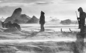 Carsten Egevang ® East Greenland, Scoresbysund 2016