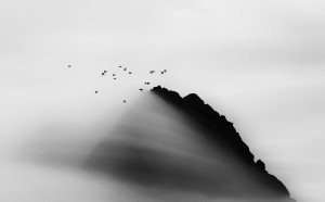 Carsten Egevang, West Greenland, Thule, 2014 © Carsten Egevang