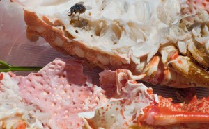 Wolfgang Tillmans, astro crusto, a, 2012 © Wolfgang Tillmans