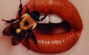 Irving Penn. Bee, New York, 1995, printed 2001. Smithsonian American Art Museum, Gift of The Irving Penn Foundation. (C) The Irving Penn Foundation