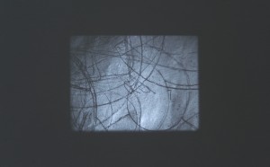 Tacita Dean_still life