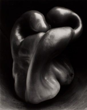 Edward Weston, Pepper, 30P, 1930, stampa alla gelatina d’argento, 23,5 x 19 cm © 1981 Center for Creative Photography, Arizona Board of Regents