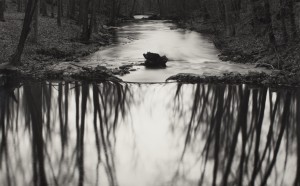 Paul Caponigro, Reflecting Stream, Redding, CT, 1969 , stampa alla gelatina d’argento, 31 x 43 cm © Paul Caponigro