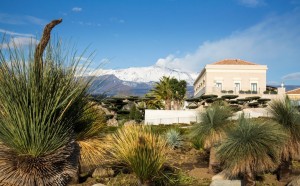 Radicepura Garden festival 2017, Giarre - Sicilia