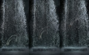 Bill-Viola-Tristan's-Ascension