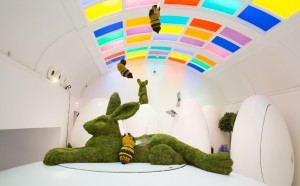 Delphinium Jungle - Figa & Co, Mayfair Flower Show 2017, Londra