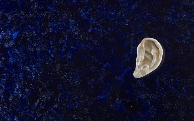 Jan Fabre, Detail of Untitled (Bone Ear) (1988) Size: 180 cm x 250 cm Techn: Glass, Human Bones, Bic Ink Photographer: Pat Verbruggen Copyright: Angelos bvba