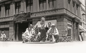 Flash, il cane della Metro-Goldwyn-Mayer, 1934Flash, the Metro-Goldwyn-Mayer dog, 1934In prestito da/Loaned byJohn Kobal Foundation, London