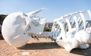 gino de dominicis, calamita cosmica, firenze