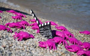 Cracking Art, Anch'io ho preso un granchio!, Isola d'Elba, estate 2017, photo by Guido Muti