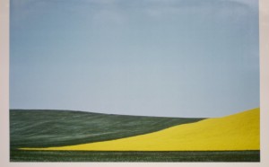 Franco Fontana (Modena, 1933) Paesaggio, Basilicata 1975 Stampa fotografica Cibachrome cm 57.5 x 87.5 UniCredit Art Collection