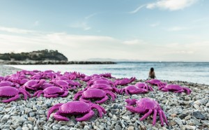 Cracking Art, Anch'io ho preso un granchio!, Isola d'Elba, estate 2017, photo by Davide Scappini