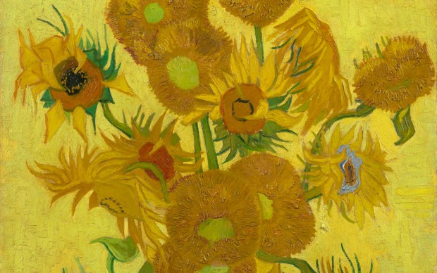 EuroGraphics Puzzle 1000 Pezzi: Girasole Di Van Gogh (Dettaglio), 48x68 Cm