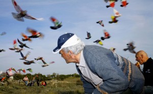 From Paloma al aire, 2011 © Ricardo Cases