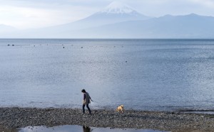 Raoul Ries, fotografia tratta dal libro Thirty-six Views of Mount Fuji (2017), pubblicato da Hatje Cantz