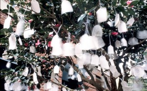 Yoko Ono, Wish Tree, 1996, veduta dell’installazione,Anderson Gallery, Richmond, Virginia, 1996 © Yoko Ono