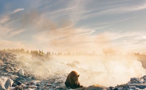 Troy Moth, Invisible Horseman, 2017