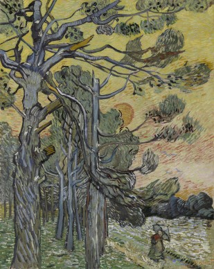 Vincent van Gogh, Pini al tramonto, 1889, Otterlo, Kröller-Müller Museum