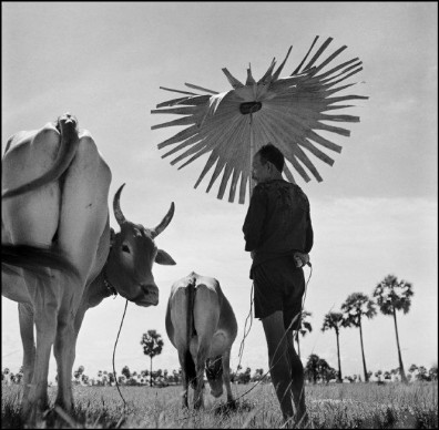 Werner Bischof, Cambodia, 1952 © Werner Bischof - Magnum Photos