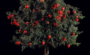 Tal Shochat, Rimon (Pomegranate), 2011. Museum no. E.1127-2012. © Tal Shochat
