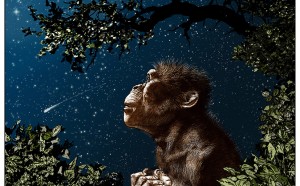 Tanino Liberatore, Lucy