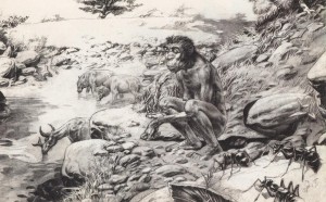 Tanino Liberatore, Lucy