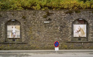 Sophie Hatier, Marilyn © Christof Weber - CDI 2017