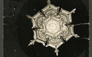 Wilson A. Bentley, Snowflake, fonte Smithsonian Institute Archives