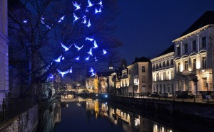 Pitaya, Installazione di light art 'Blue Birds'
