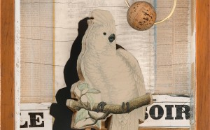 Joseph Cornell, Cacatúa Juan Gris Nº 4, 1953-1954 circa