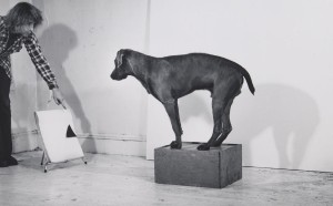 William Wegman, Before/On/After (detail), 1972. Gelatin silver prints. The Metropolitan Museum of Art, Vital Projects Fund Inc. Gift, through Joyce and Robert Menschel, 2016. © William Wegman, Courtesy the artist