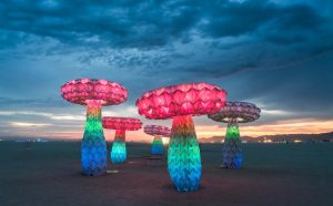 FoldHaus, Shrumen Lumen, Burning Man Festival, 2016. Photo by Rene Smith