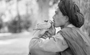 Marilaide Ghigliano, mostra Frammenti di un bestiario amoroso