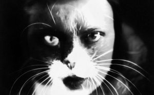 Wanda Wulz "Io + gatto": sovrimpressione del volto di Wanda Wulz con l'immagine del proprio gatto. Credito fotografico obbligatorio: Archivi Alinari, Firenze