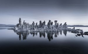 Tom Jacobi, Fairy Floss (California, USA 2015)