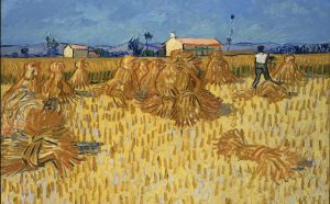 Vincent van Gogh, Moissons en Provence, juin 1888 Huile sur toile, 51x 60 cm Israel Museum, Jérusalem