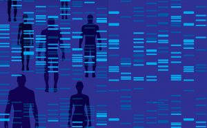 genoma dna muse museo della scienza trento