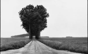 Brie, France, 1968 © Henri Cartier-Bresson / Magnum Photos